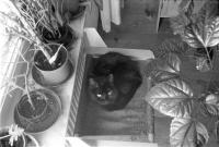 Thumbnail of 0003.jpg