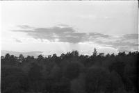 Thumbnail of 0010.jpg