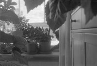 Thumbnail of 0012.jpg