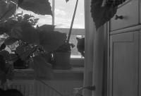 Thumbnail of 0013.jpg