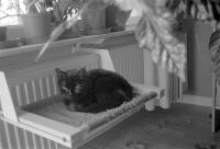 Thumbnail of 0014.jpg