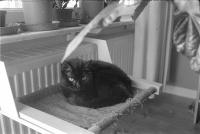 Thumbnail of 0015.jpg