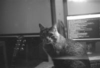 Thumbnail of 0017.jpg