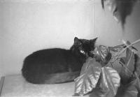 Thumbnail of 0025.jpg