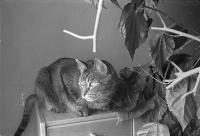 Thumbnail of 0026.jpg