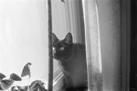Thumbnail of 0030.jpg