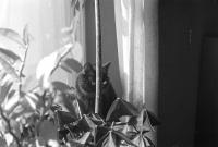 Thumbnail of 0031.jpg