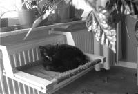 Thumbnail of 0033.jpg