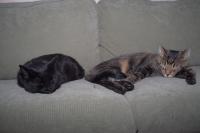 Thumbnail of IMG_1429_01.jpg