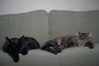 Thumbnail of IMG_1434_01.jpg