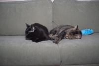 Thumbnail of IMG_1452_01.jpg