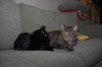 Thumbnail of IMG_1463_01.jpg