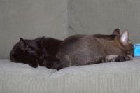 Thumbnail of IMG_1476_01.jpg