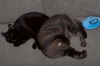 Thumbnail of IMG_1479_01.jpg