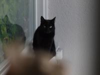 Thumbnail of P1000454.jpg