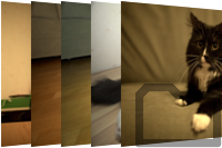 Thumbnail of jack