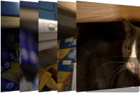 Thumbnail of ozzy